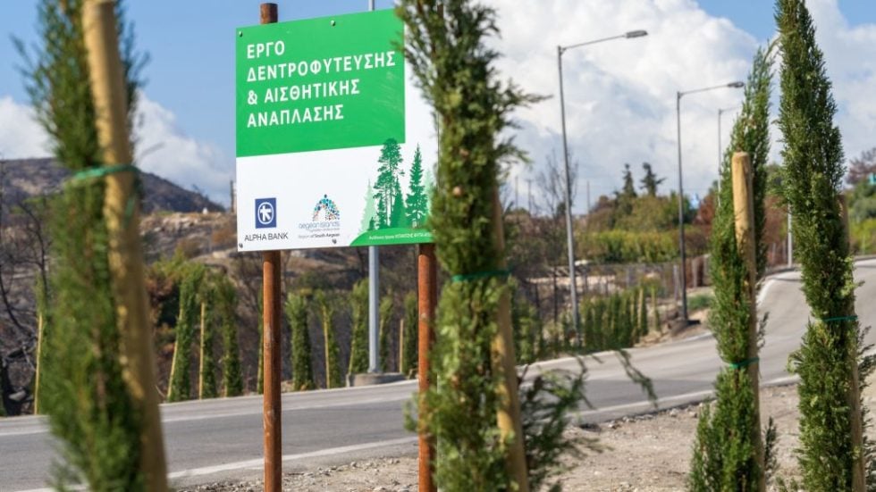 ALPHA BANK ΡΟΔΟΣ